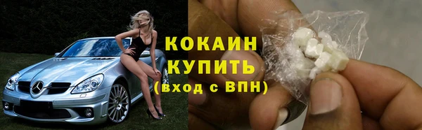 индика Баксан