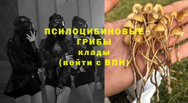 ALPHA-PVP Армянск