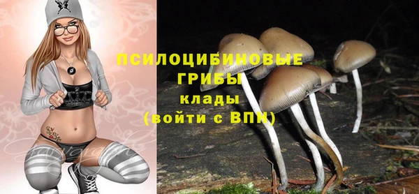 ALPHA-PVP Армянск