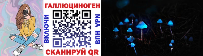 Галлюциногенные грибы Magic Shrooms  закладки  Хасавюрт 